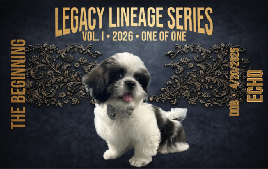 Legacy Lineage Series - Birth Edition