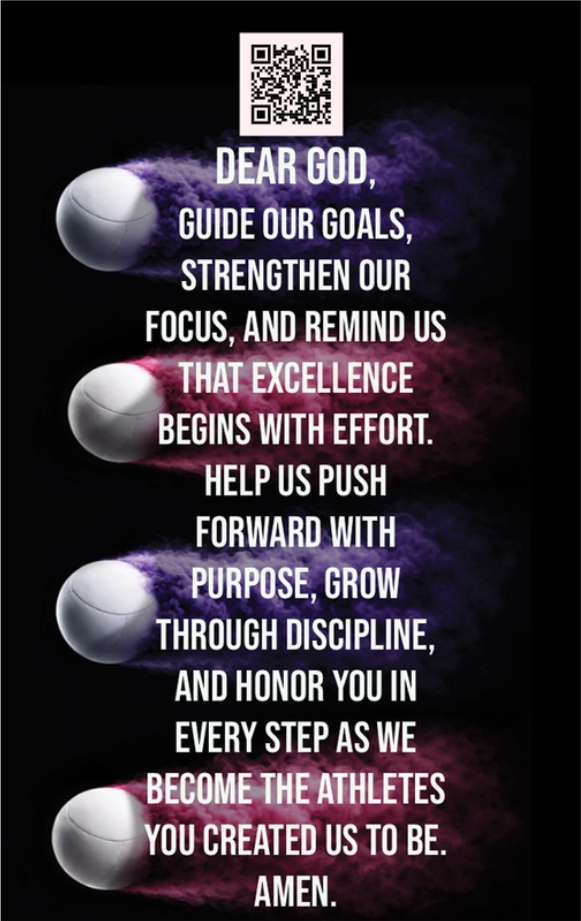 Girls Lacrosse Player Card - Stinger Vol. I (Multi-Year)