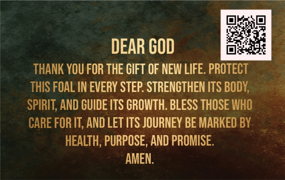 Legacy Bloodline Series – Yearling Edition (Dam B - Teal)