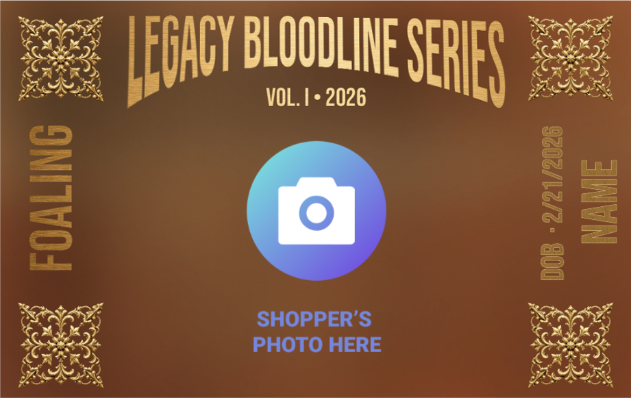 Legacy Bloodline Series – Foaling Edition (Sire A - Brown)