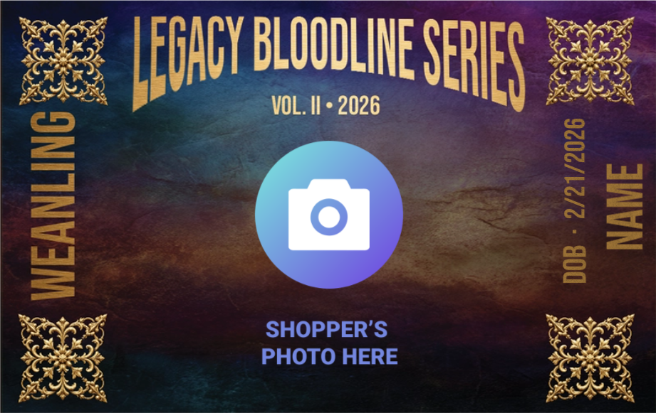 Legacy Bloodline Series – Weanling Edition (Dam A - Purple)