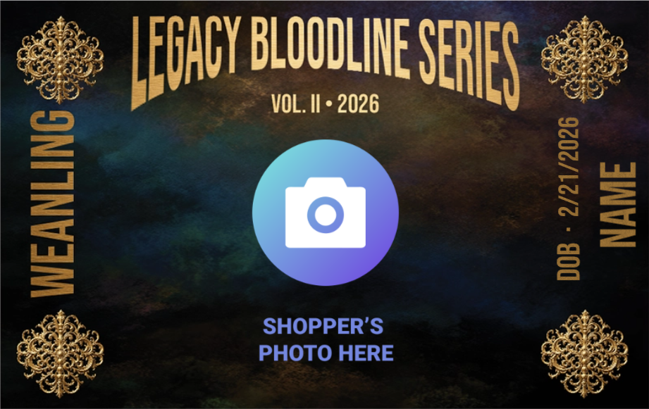 Legacy Bloodline Series – Weanling Edition (Dam B - Green)