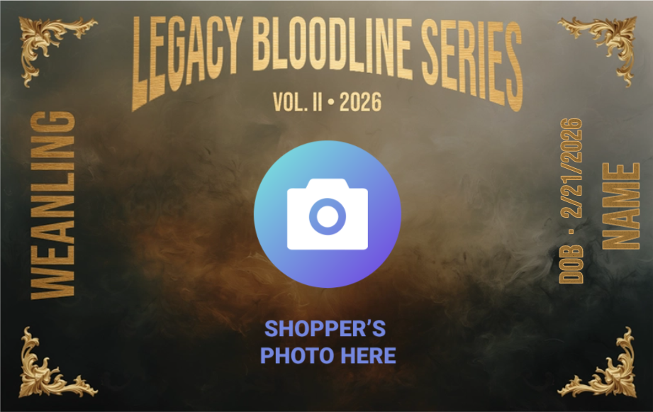 Legacy Bloodline Series – Weanling Edition (Sire A - Gray)