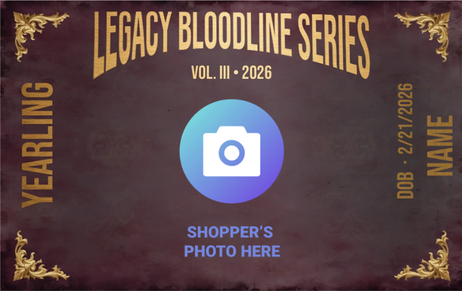 Legacy Bloodline Series – Yearling Edition (Dam A - Purple)