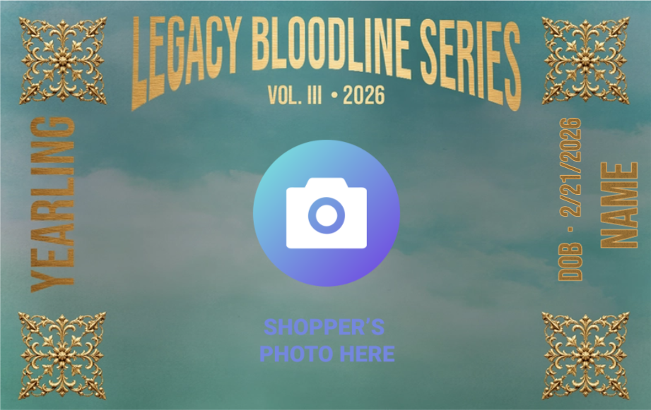 Legacy Bloodline Series – Yearling Edition (Dam B - Teal)