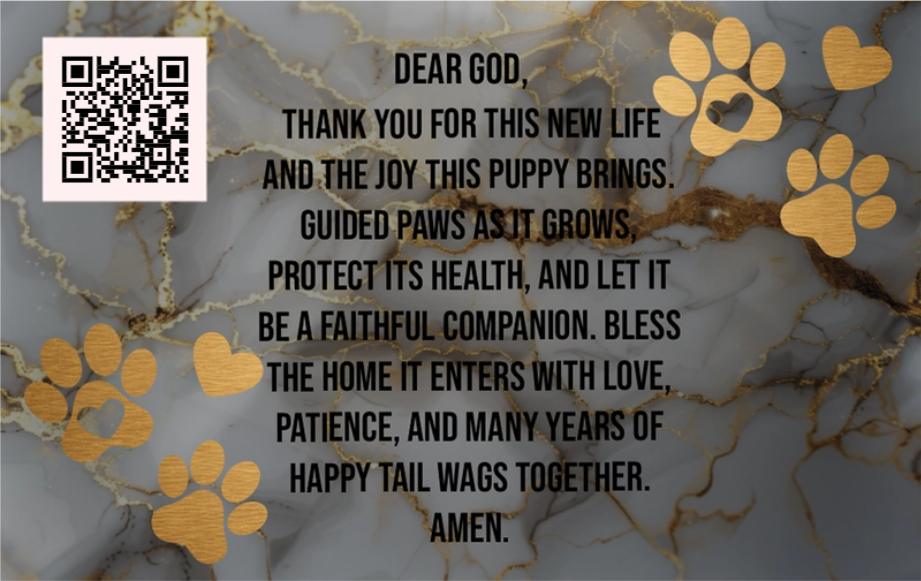 Legacy Lineage Series – 1-Year Milestone (Sire B - Brown Leather)